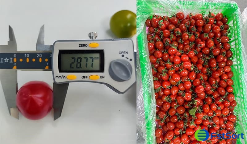 images/1711696060940baby sorting machine.jpg